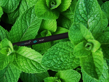 VAPSTICK MINT