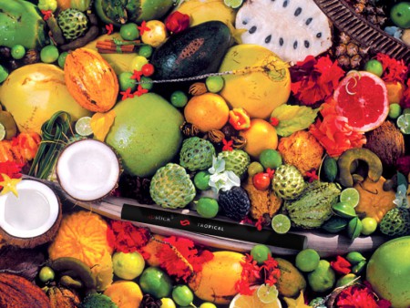 VAPSTICK TROPICAL